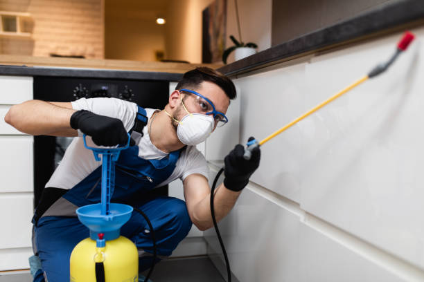 Best Pest Removal Services  in Yoakum, TX