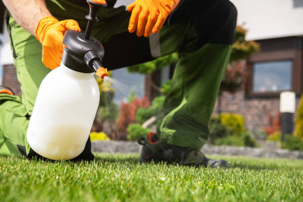 Best Mosquito Control Services  in Yoakum, TX
