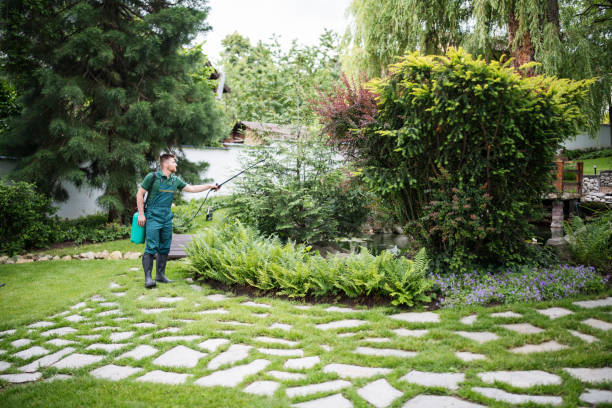 Best Local Pest Control Services  in Yoakum, TX