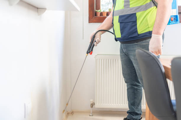 Best Ant Control Services  in Yoakum, TX