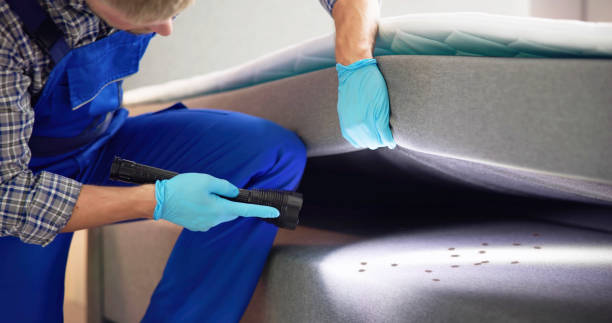 Best Wasp Removal Services  in Yoakum, TX