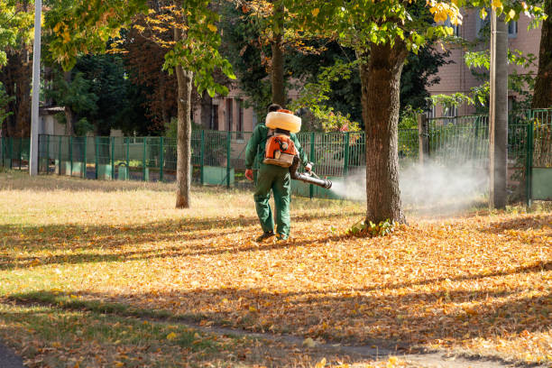 Best Cockroach Control Services  in Yoakum, TX